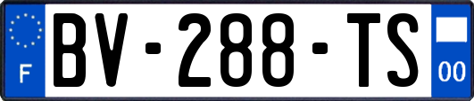 BV-288-TS