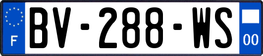 BV-288-WS