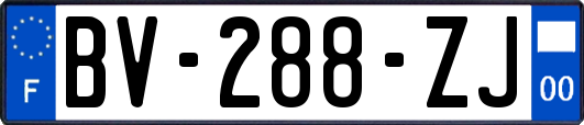 BV-288-ZJ