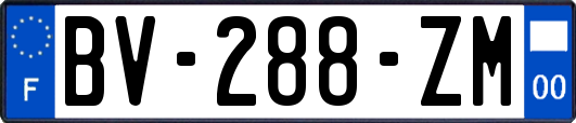 BV-288-ZM