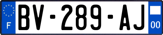 BV-289-AJ