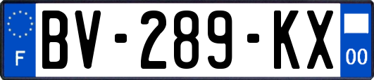 BV-289-KX