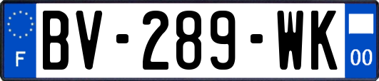 BV-289-WK