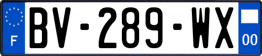 BV-289-WX