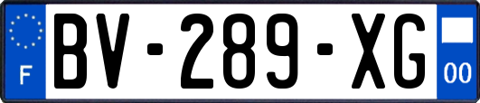 BV-289-XG