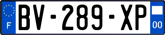 BV-289-XP