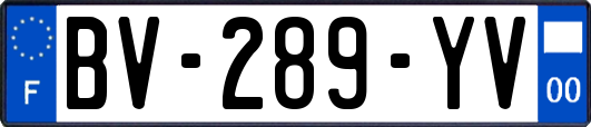 BV-289-YV