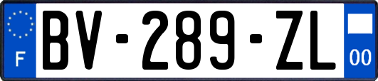 BV-289-ZL