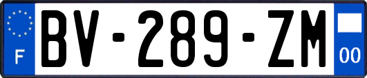 BV-289-ZM