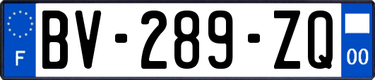 BV-289-ZQ