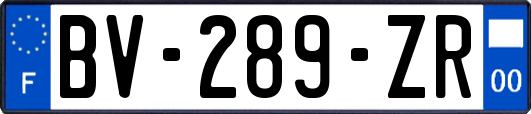 BV-289-ZR