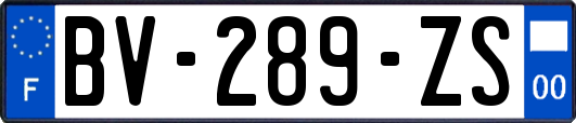 BV-289-ZS