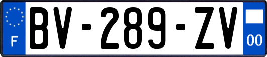 BV-289-ZV