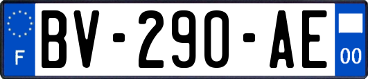 BV-290-AE