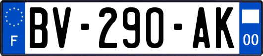 BV-290-AK