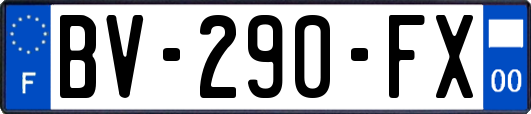 BV-290-FX