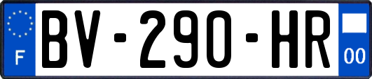 BV-290-HR