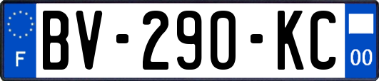 BV-290-KC
