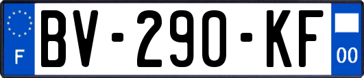 BV-290-KF