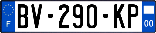 BV-290-KP