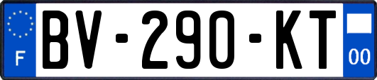 BV-290-KT