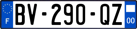 BV-290-QZ