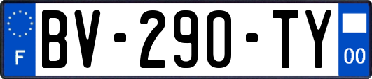 BV-290-TY