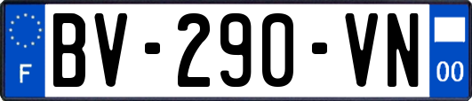 BV-290-VN