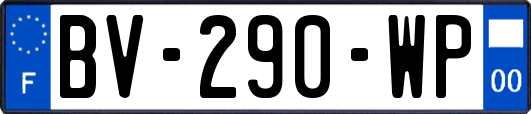 BV-290-WP