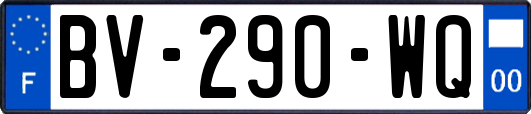 BV-290-WQ