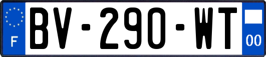 BV-290-WT