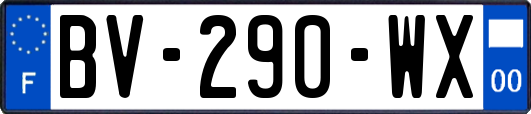 BV-290-WX