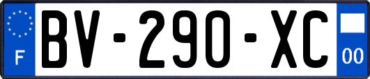 BV-290-XC