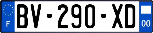 BV-290-XD