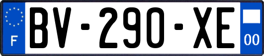 BV-290-XE