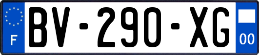 BV-290-XG
