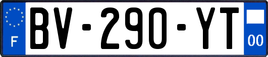 BV-290-YT