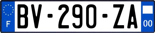 BV-290-ZA