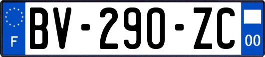 BV-290-ZC