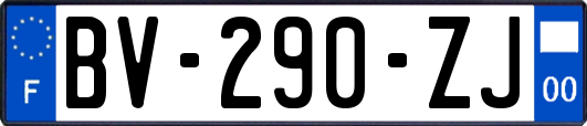 BV-290-ZJ