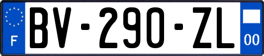 BV-290-ZL