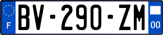 BV-290-ZM