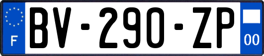 BV-290-ZP