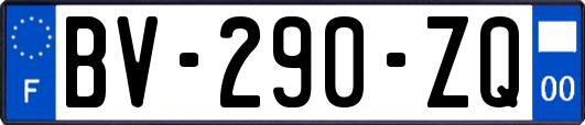 BV-290-ZQ