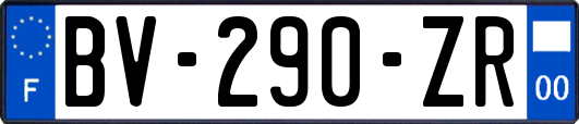 BV-290-ZR