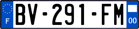BV-291-FM