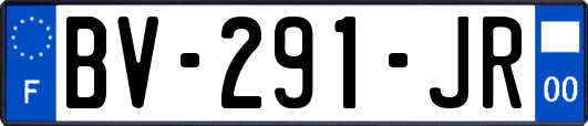 BV-291-JR