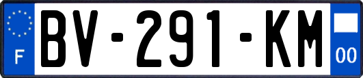 BV-291-KM