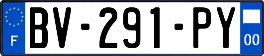 BV-291-PY