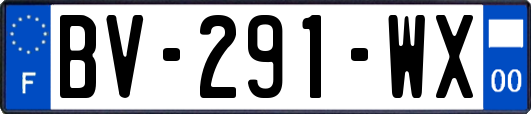 BV-291-WX